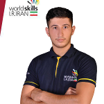 Hossein Bodaghi