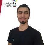 Seyed Sina Isapour