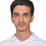 امیرفرزام حسینی
