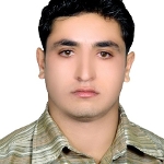 Seyed Hadi Hosseini
