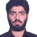 Seyed Mohammad Hoseini Sefat